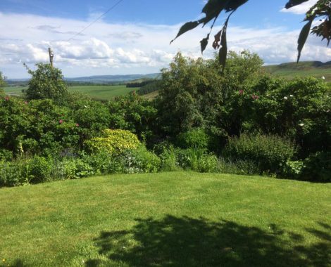 Cottage Garden